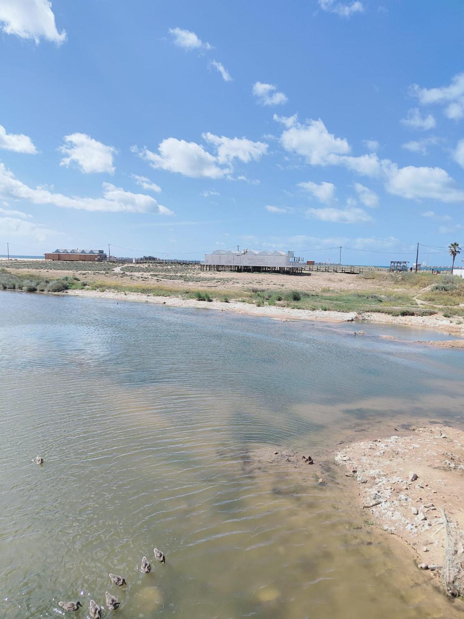 Bayline- Beachfront And Pool Armação de Pêra 外观 照片