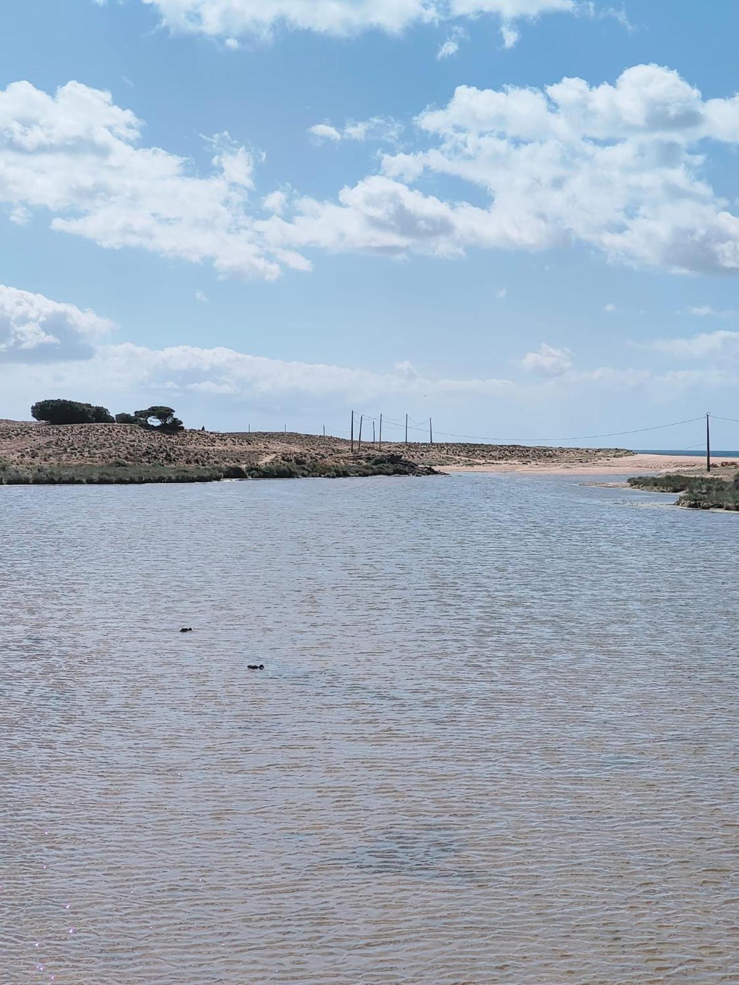 Bayline- Beachfront And Pool Armação de Pêra 外观 照片